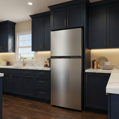 Newfoundland 24" Stainless Steel Refrigerator